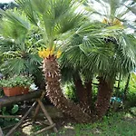 La Rovere * Cossano Belbo