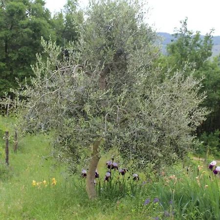 La Rovere *