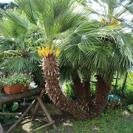 La Rovere * Cossano Belbo