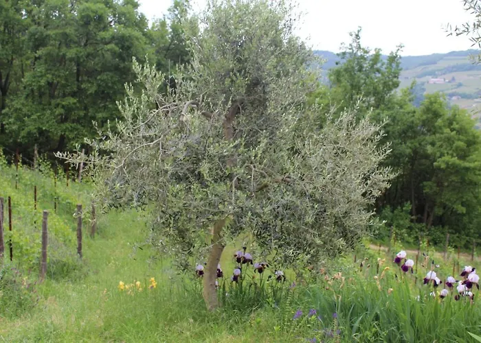 La Rovere *