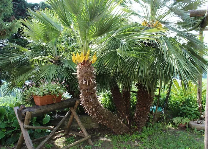 La Rovere * Cossano Belbo